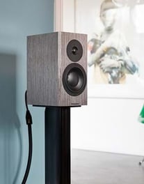 dynaudio-special-40-lifestyle-grey-birch-02-2