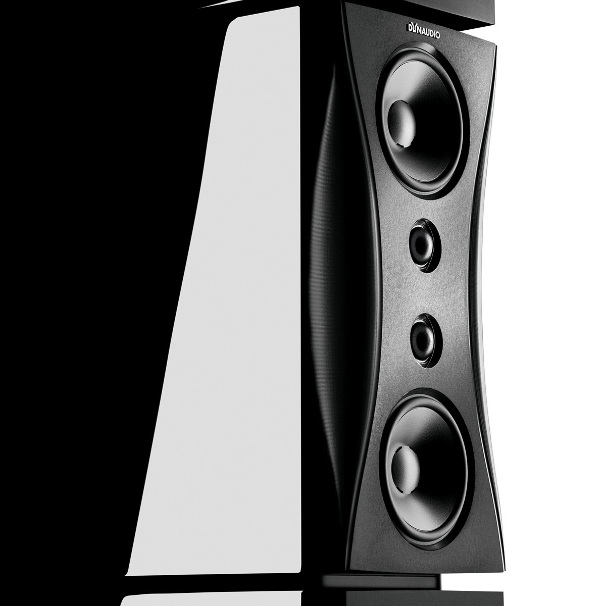 DYN_Evidence_Platinum_module_1200x1200px